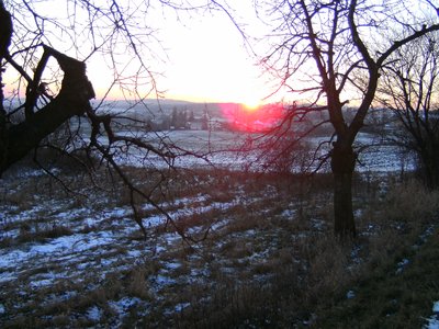 PICT0016.JPG